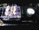 あの枠【2019/11/14】