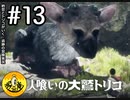 【初見実況】納豆とトリコがいく　遺跡の冒険　その13