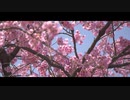 Arblethe - 小春凪 (feat.IA)
