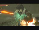 依頼を受けて、炎の剣ライネルにラッシュをして処理を重くしてみた
