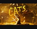 映画『Cats／キャッツ』予告編 #2