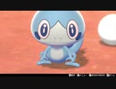 【実況】＊ポケットモンスター シールドを初見のんびりプレイ(ワイルドエリア編)＊【Part9】