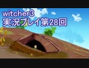 探し人を求めてwitcher3実況プレイ第28回