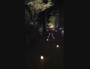 [旅行]光前寺の紅葉ライトアップを見て歩くだけの3分間