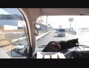 旅行移動中のあずきの様子
