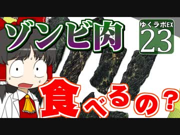 【MineCraft】ゆくラボＥＸ　バニラでリケジョが自給自足生活 DAY23【ゆっくり実況】