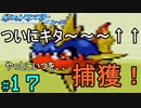 【24歳フリーターの】ポケモンルビー・サファイア~アクア団でクリアの旅~part17【レトロゲー】【ソードシールド発売記念!】