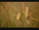 １１月晩秋の景色　色ばきばき版