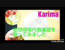 妄想感傷代償連盟歌ってみた