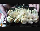 あの枠【2019/11/16】