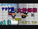 【24歳フリーターの】ポケモンルビー・サファイア~アクア団でクリアの旅~part18【レトロゲー】【ソードシールド発売記念!】