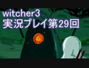 探し人を求めてwitcher3実況プレイ第29回