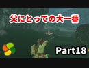 【実況】今年で定年を迎える父をハイラルの大地に放り込むPart18【ゼルダの伝説BotW】