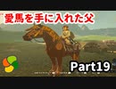 【実況】今年で定年を迎える父をハイラルの大地に放り込むPart19【ゼルダの伝説BotW】