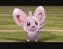 【2人実況】ポケモン剣盾 チラーミィ×6でチャンピオンを倒しに行くチラpart2