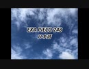 EXA PIECO248日本語