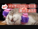 【モアクリ】 猫用マッサージローラーを使ってみた