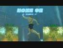 【趣味】拙いですがパンツでマスターになる【ゼルダの伝説ブレスオブザワイルド】pants101