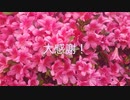 寂しげな感じが　7DAYS  3日目！