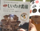 『もりのしいたけ農園』でキノコを生やしてみた結果