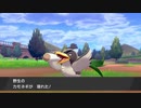 【実況】＃10 ヒバニーと行く！ポケモン剣盾「ソード」【ポケモンソードシールド】