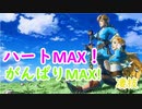 【ゼルダの伝説BotW】ハート＆がんばりMAX技！
