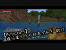 【Minecraft】深夜にまったり初見プレイ#17