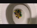 M&M'sとチョコチップクッキーをトイレに流してみた