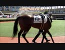 【現地映像】どの馬が勝ったのかわかる？競馬新聞みたら絶対に取れない馬券　難易度SSS