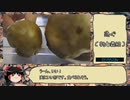 【RTA】きのこ狩り2019　ウラベニホテイシメジ編　2:10:36