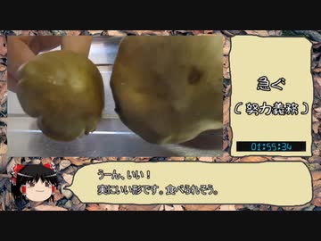 【RTA】きのこ狩り2019　ウラベニホテイシメジ編　2:10:36