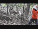 平成最後の狩猟生活(その108)