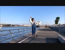 【ゆるっと】だんだん早くなる　踊ってみた【honeko】
