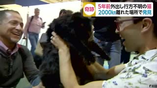 5年前外出し行方不明の猫　2000km離れた場所で発見