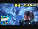 【MHW:IB】マイペースハンター、二匹に翻弄される#13