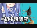 ダイマックスした葵ちゃんが初中級DTBerを教育する講座