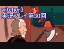 探し人を求めてwitcher3実況プレイ第30回