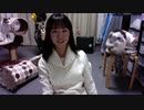 【猫の多頭飼い】ねこ姉さんふじ子のおしゃべり報告会 2019.11.22