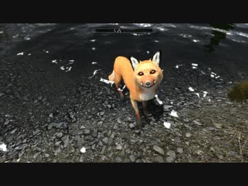 【初見】ＳｋｙｒｉｍＳＥ　遊んでみる別枠（モフモフは好きですか？）