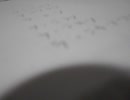 you耳コピ