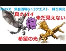 【MHXX縛り実況 真#114】未だ見えない希望の光VS獰猛リオレウス希少種、獰猛リオレイア希少種