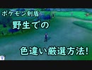 「ポケモン剣盾」2分でわかる色違い厳選方法！