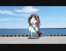 【ドルフロ】C-MS ガチョウの不思議な旅【描いてみた】