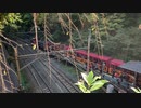 嵯峨野嵐山　ノロッコ列車