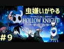 【虫嫌いがやる】Hollow Knight　part9【実況】