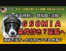 GSOMIA破棄延期！　ボギー大佐の言いたい放題　2019年11月22日　21時頃　放送分