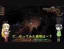 Vo短分動画日記 _グリムドーン_09