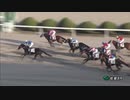 2019年11月23日佐賀競馬8R 的場文男チャレンジカップ(C2-21組) イチザヒーロー