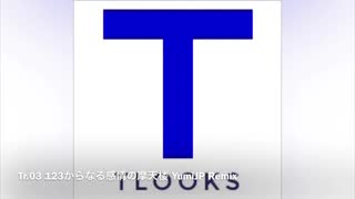 【第11回東方ニコ童祭Ex】123からなる感情の摩天楼 YumiJP Remix【Tlooks】