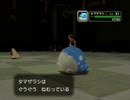 ポケモンコロシアム実況：剣と盾を携え挑むコロシアム　part10